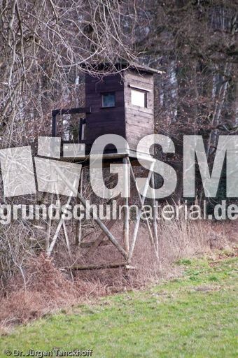 Hochstände (116 von 154).jpg